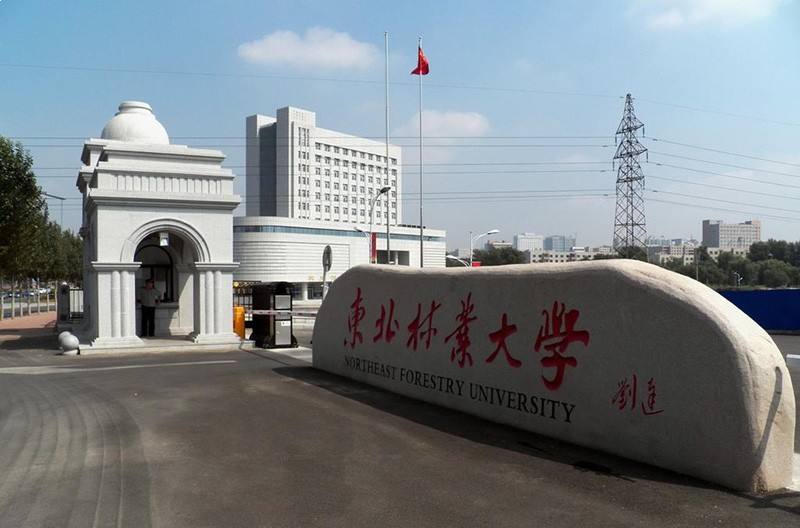 东北林业大学